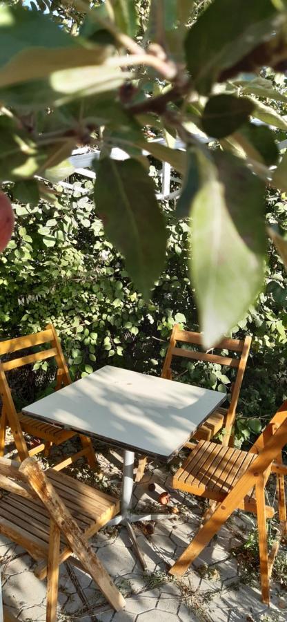 Guesthouse Kishimzhan Talas Екстер'єр фото